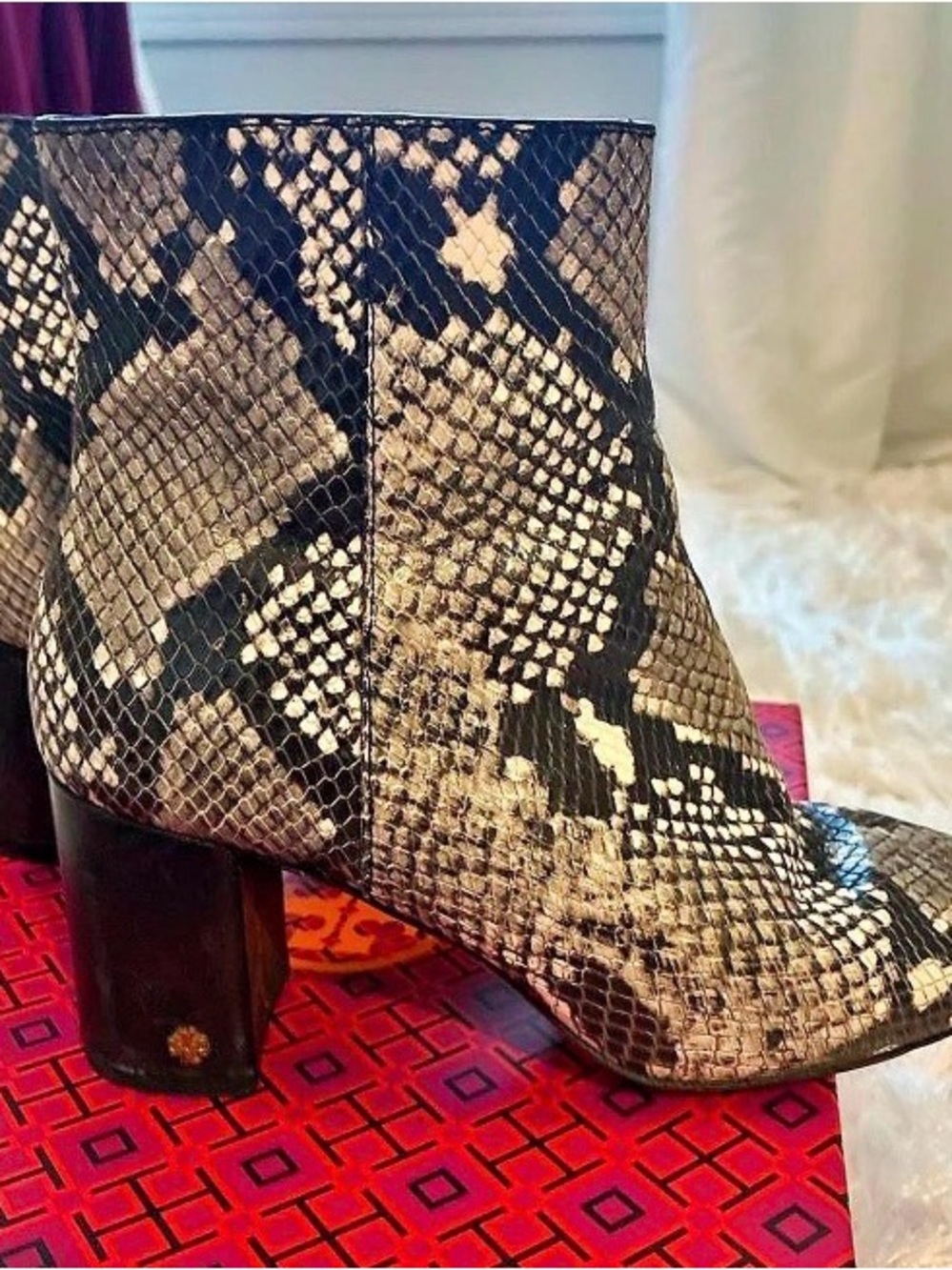Tory Burch Snake-Print Block Heel Ankle Boot - Black & Cream